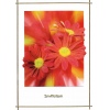 Dazzeling Red Chrysanthemum Wedding Invitation